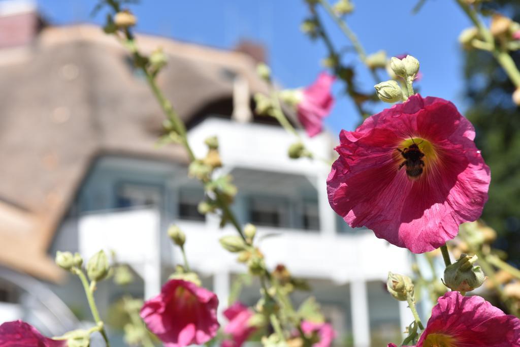 Romantik Hotel Fischerwiege Ahrenshoop Bagian luar foto